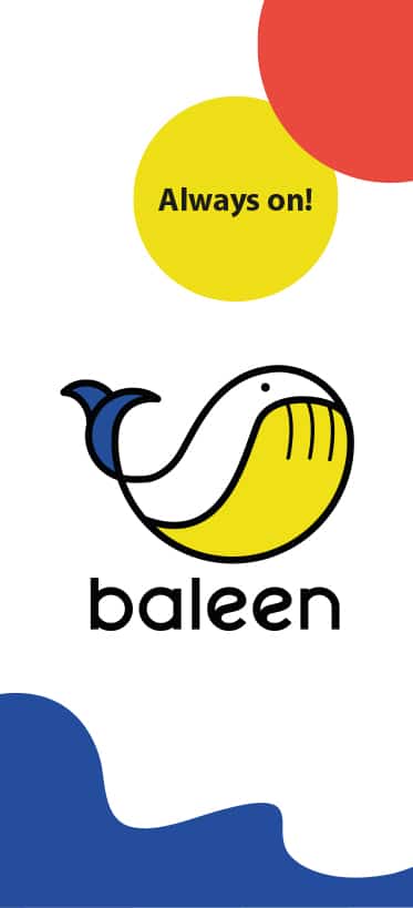 image du projet